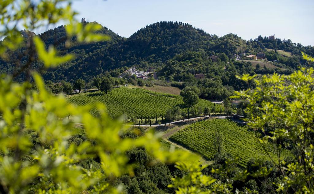 Tenuta Saiano Resort Torriana Экстерьер фото